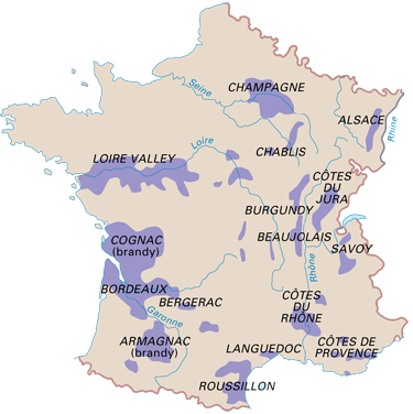 regiony winiarskie we francji